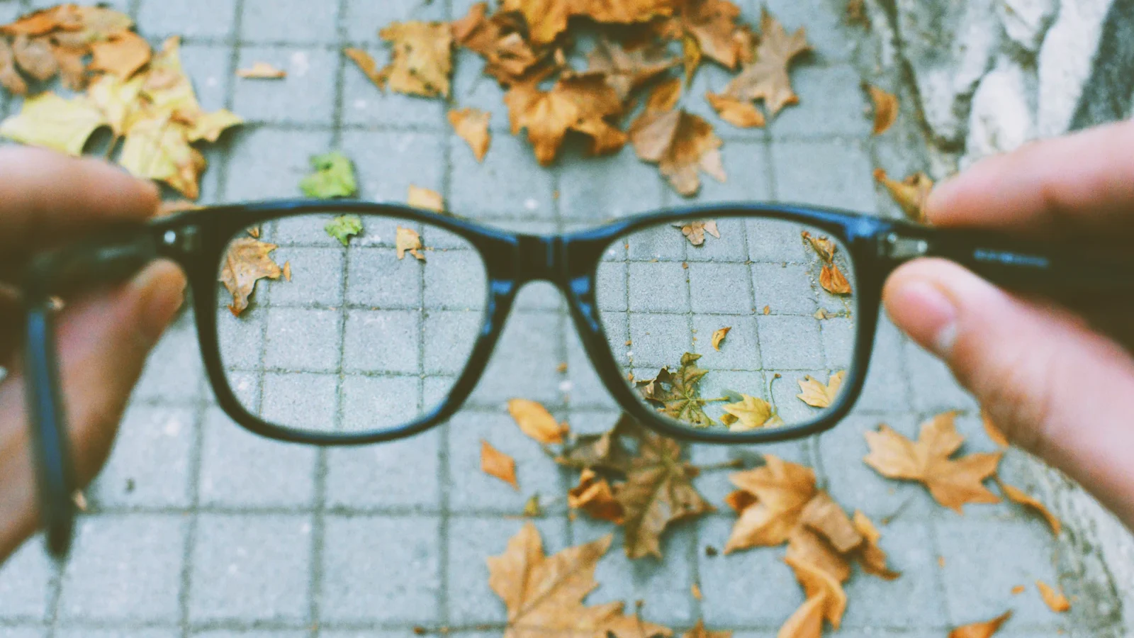 Ray-Ban Meta Glasses Stream Video to Mac for Real-Time Focus Tracking